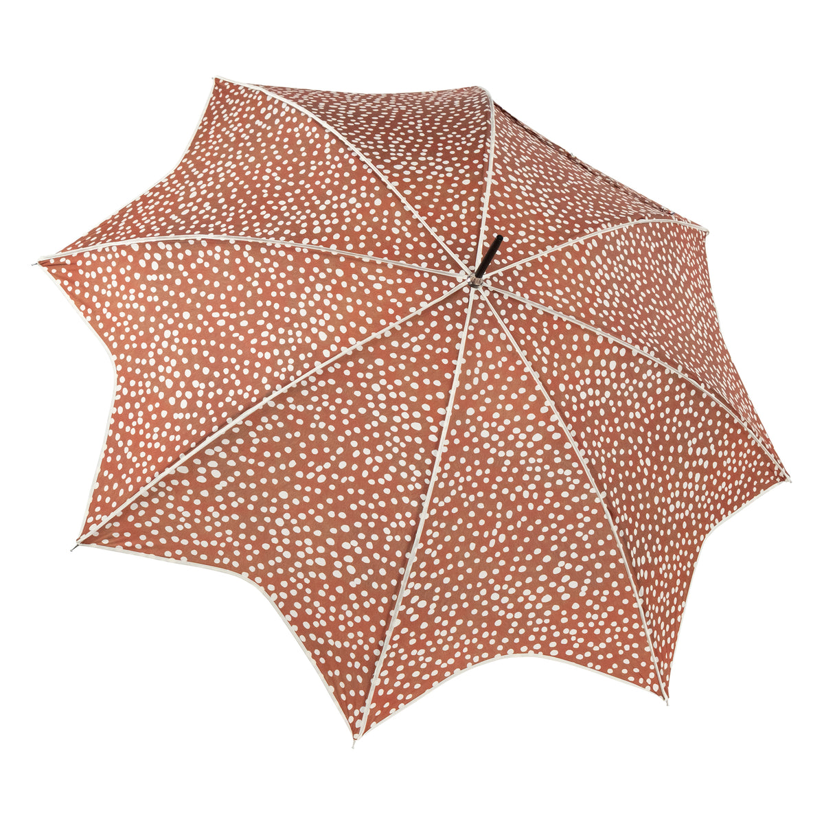 Parapluie canne étoile | BICHE
